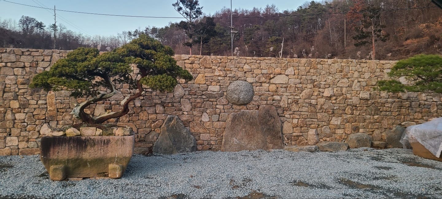 자연석 담장 앞에 배치한 소나무와 경관석 클로즈업