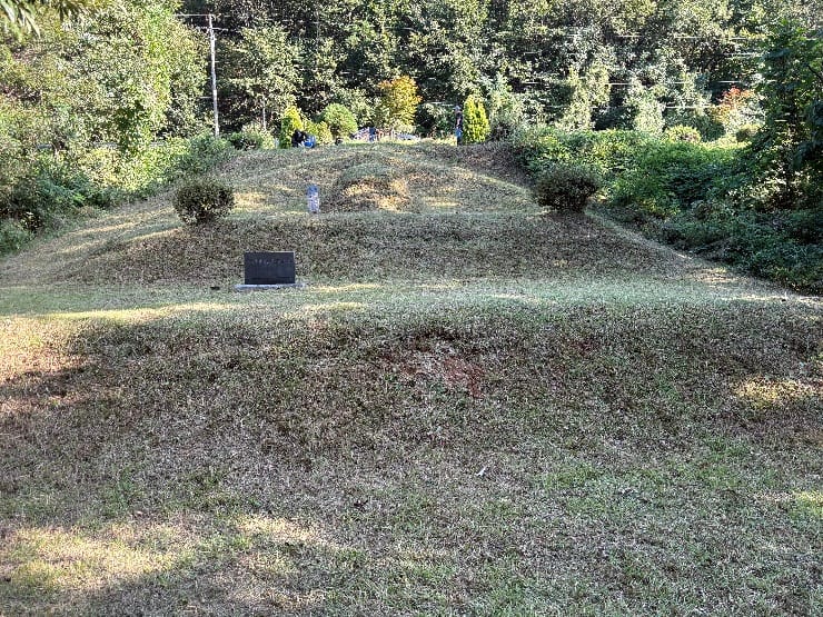 청주 벌초대행 가격 싼곳, 벌초 작업 후 사진