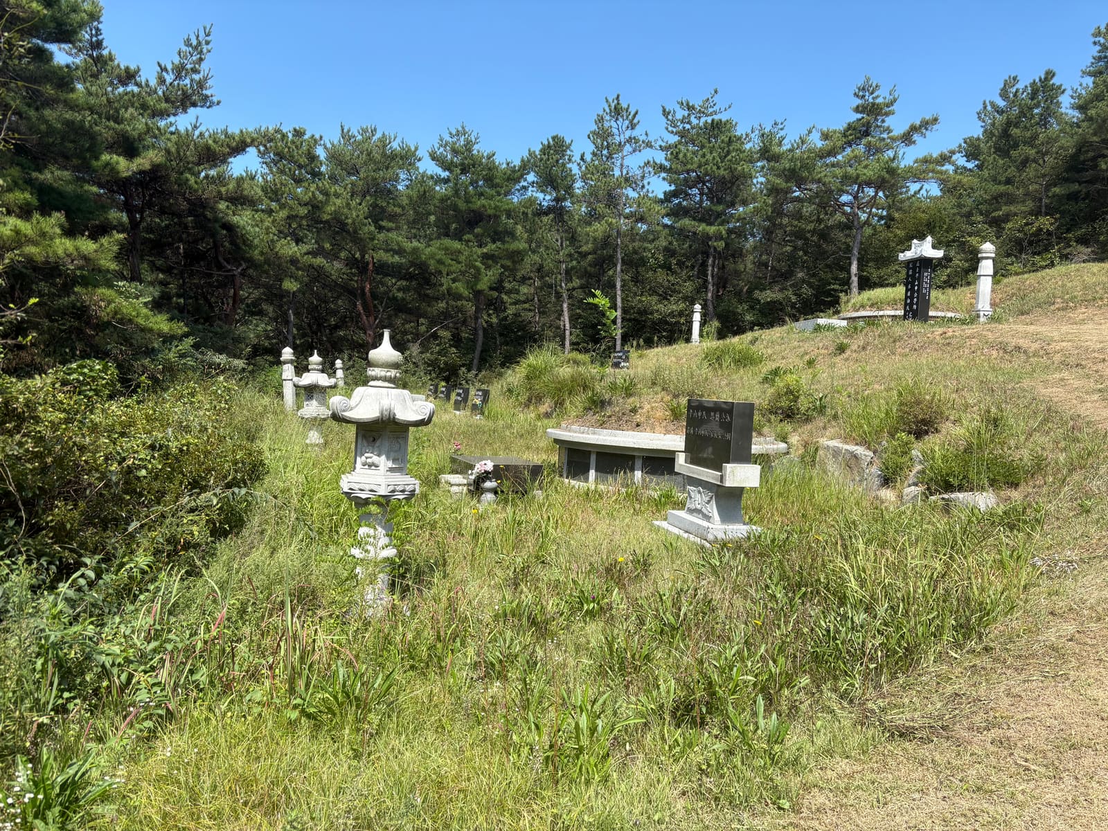 충남 예산 벌초 대행 작업 전 사진, 석등과 비석 주변까지 뒤덮은 웃자란 풀